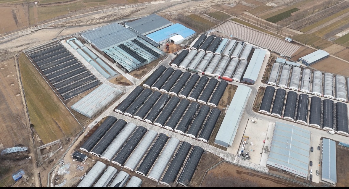 【原創】天水清水：30噸木耳裝車發貨 清水木耳走向海外市場_fororder_清水縣食用菌産業園