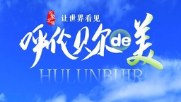 印象北疆｜讓世界看見呼倫貝爾的美