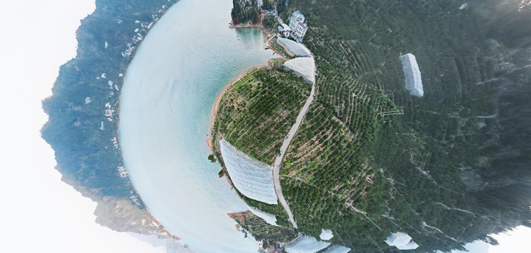 綠水旁 青山上 果飄香
