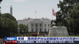 美媒：圍繞美伊協議的斡旋和談判仍在進行