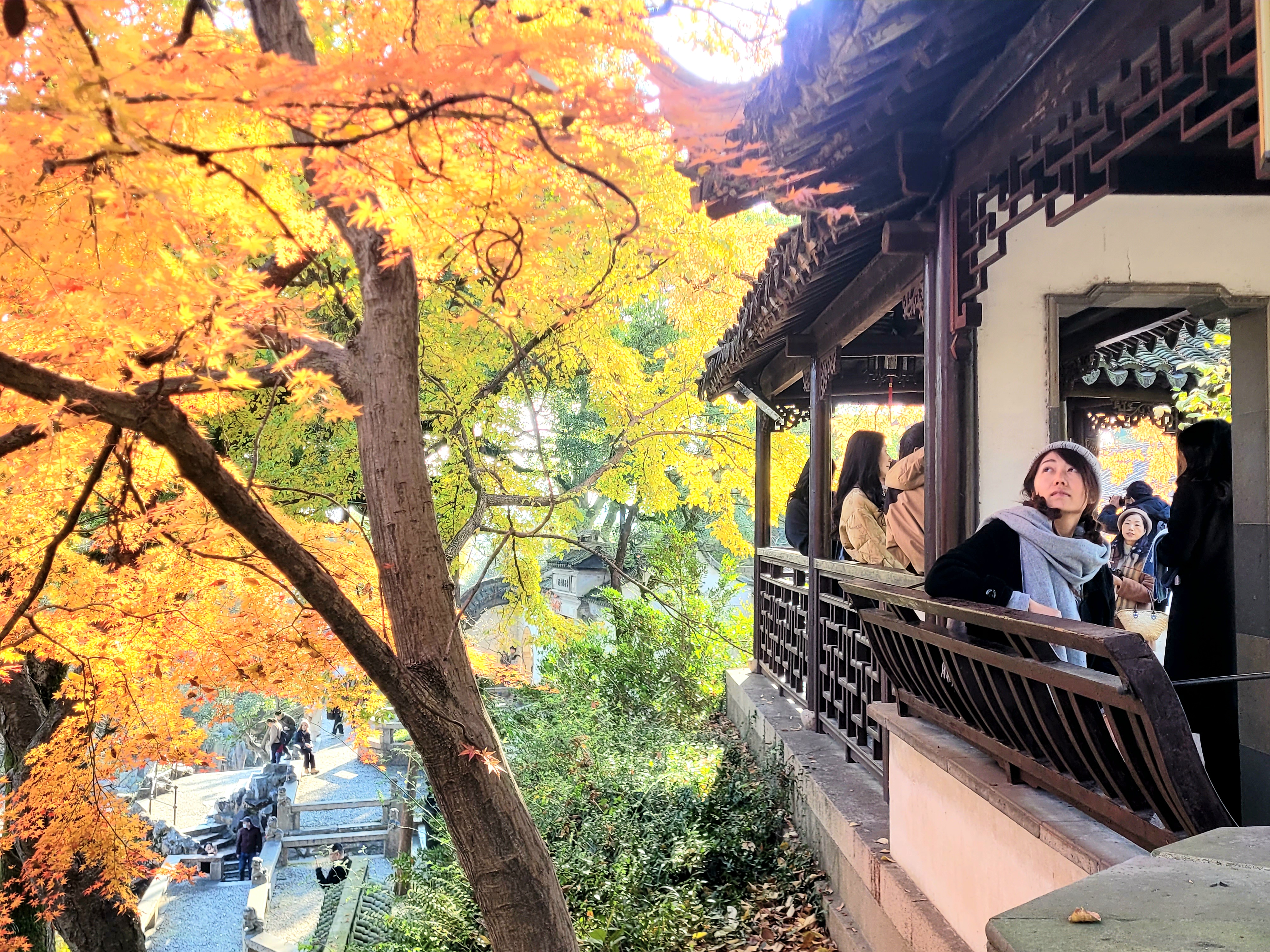 蘇州：冬日虎丘別樣美