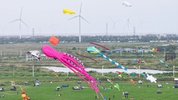 “箏”奇鬥艷 2024年全國風箏邀請賽在南通如東開賽