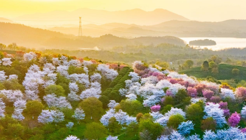 溧陽春光好 踏青正當時_fororder_GjsfshC007082_20250326_CBMFN0A001