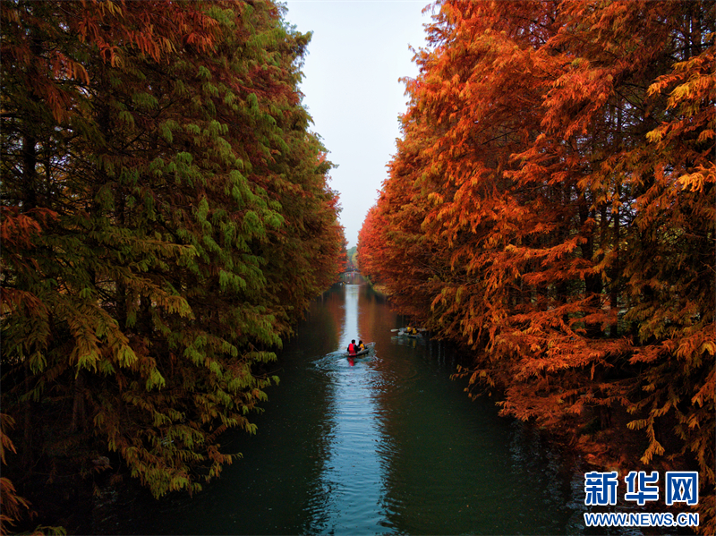 江蘇蘇州：來虎丘濕地看“水上焰火”