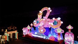 南京：萌蛇“駕到”迎新納福