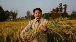 稻田守望者胡新華：農田裏種出新質生産力 種田也是一種享受