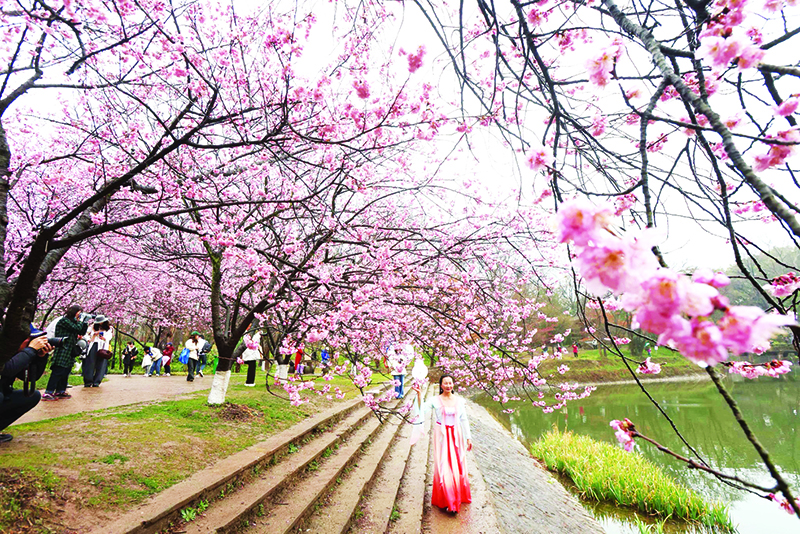 圖片默認標題_fororder_IMG_2145