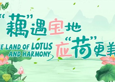 《寶藏般的鄉村生活》第4集：“藕”遇寶地 應“荷”更美_fororder_微信圖片_20241219142803