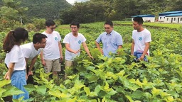 江蘇：讓“小院”助力鄉村發揮更大作用