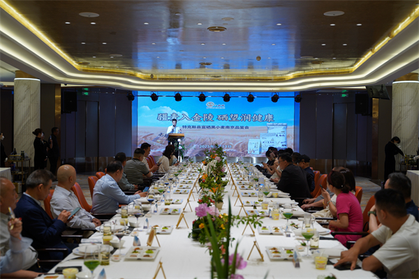 産業援疆多措並舉 特克斯黑小麥香飄南京江寧受歡迎_fororder_4