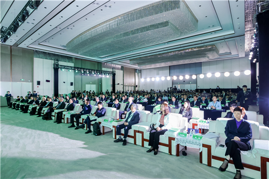 中國標準助推綠色變革2025國際標準化（麒麟）大會在南京舉行_fororder_圖片5_副本