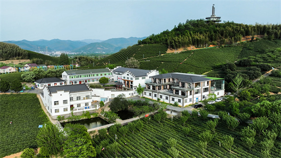 茶鄉采風 茶文旅助力鄉村振興的江蘇實踐_fororder_微信圖片_20250421131907