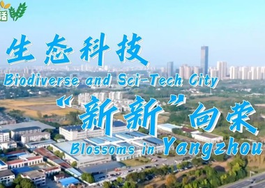 《寶藏般的鄉村生活》第5集：生態科技 “新新”向榮_fororder_微信圖片_20241219142930