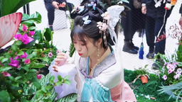 南京萬達茂舉辦“會飛的花—蝴蝶主題特展” 邀市民感受蝴蝶“飛”進商場