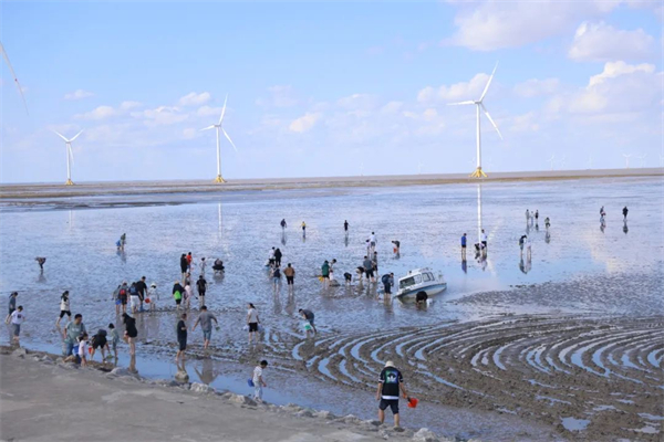 南通好玩 如東有請 共赴一場春日盛宴_fororder_6