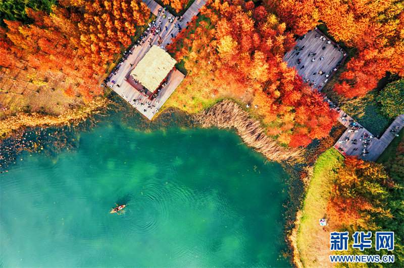 江蘇蘇州：來虎丘濕地看“水上焰火”