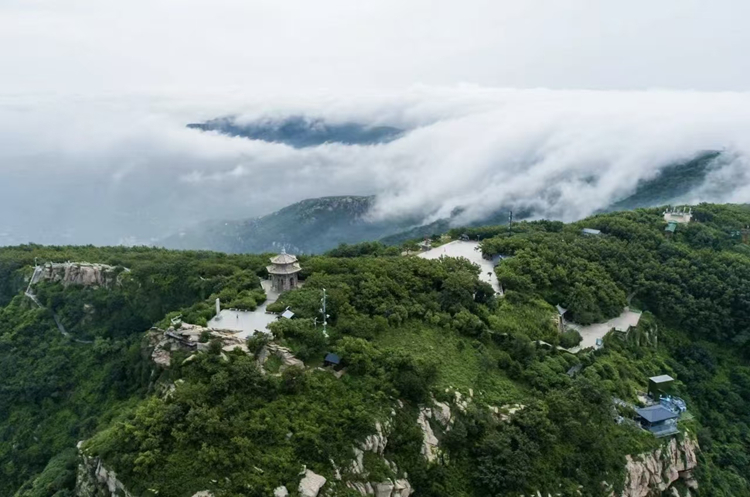 江蘇連雲港：雲臺林間好“豐”景_fororder_20260104_094240_000