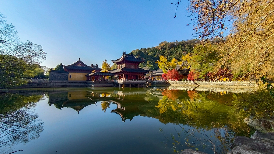江蘇鎮江：山水城林換“新裝”