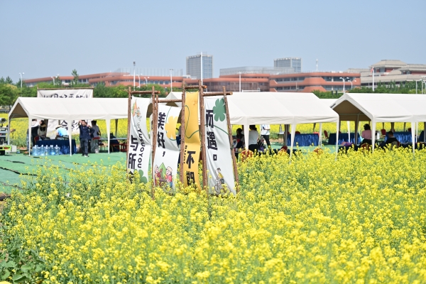淮安清江浦區:“食音”相約 在油菜花海開啟詩意田園沉浸之旅_fororder_圖片19_副本