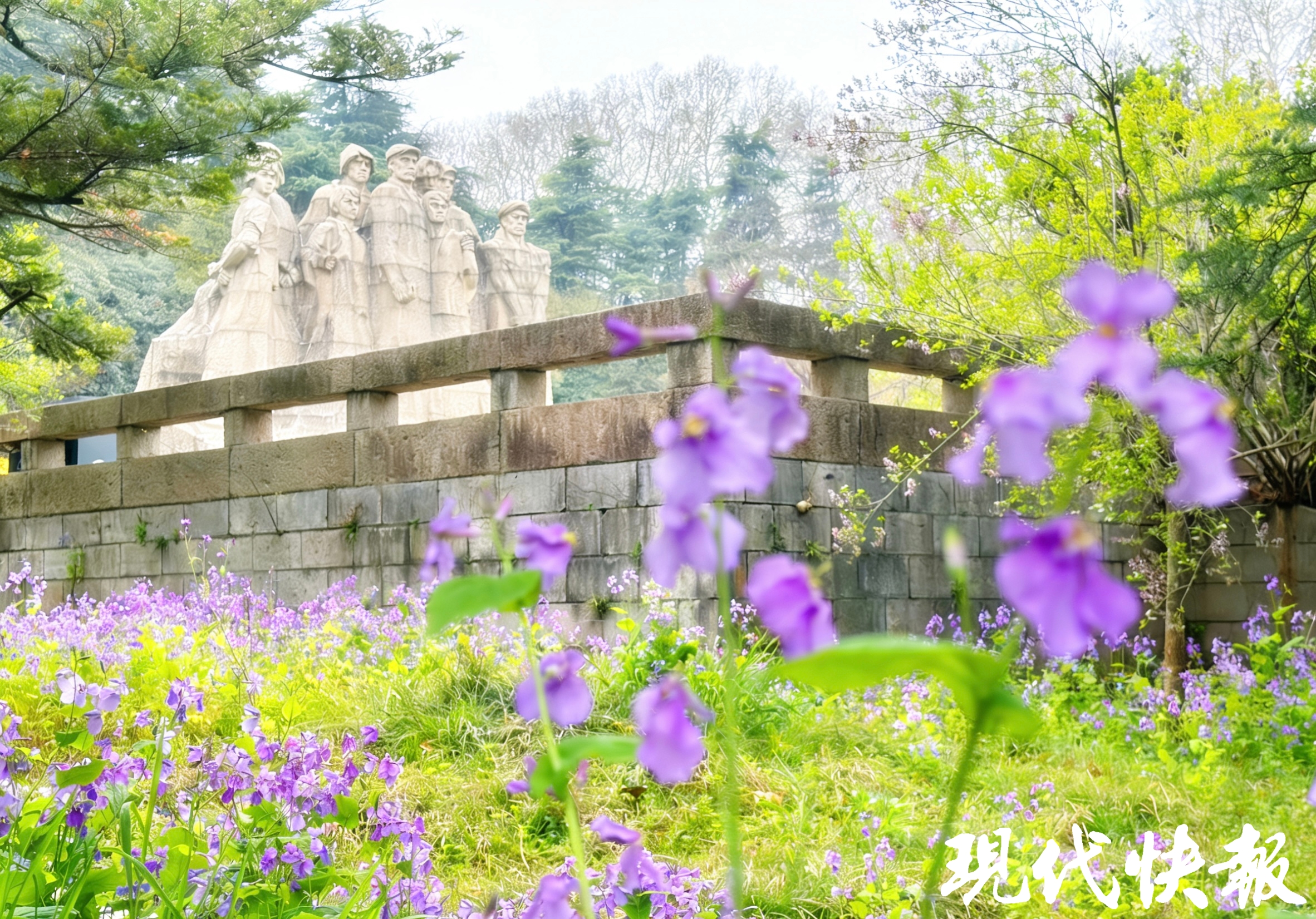 繁花滿城,南京賞花公交專線來了_fororder_20260330_093317_001