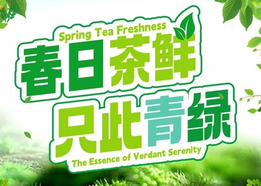 《寶藏般的鄉村生活》第1集：春日茶鮮 只此青綠
