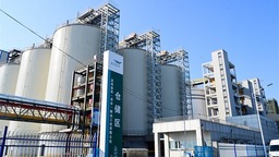“吃幹榨盡”水稻循環經濟模式讓效益最大化