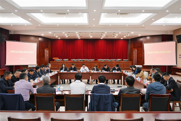 蘇州相城黃橋街道召開“促開工 促納統 促投用 促産出”拿地企業座談交流會_fororder_13