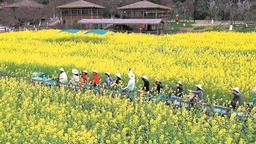 （轉載）不負好春光 成都春季文旅地圖活動線路全攻略上新