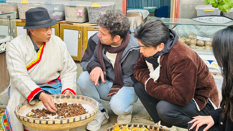 《愛在阿壩》拍攝花絮——體驗羌醫藥文化