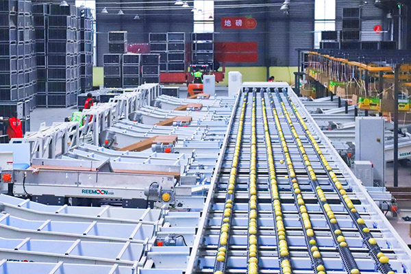 資陽安岳：一顆檸檬的全球化品牌之路_fororder_圖片-2