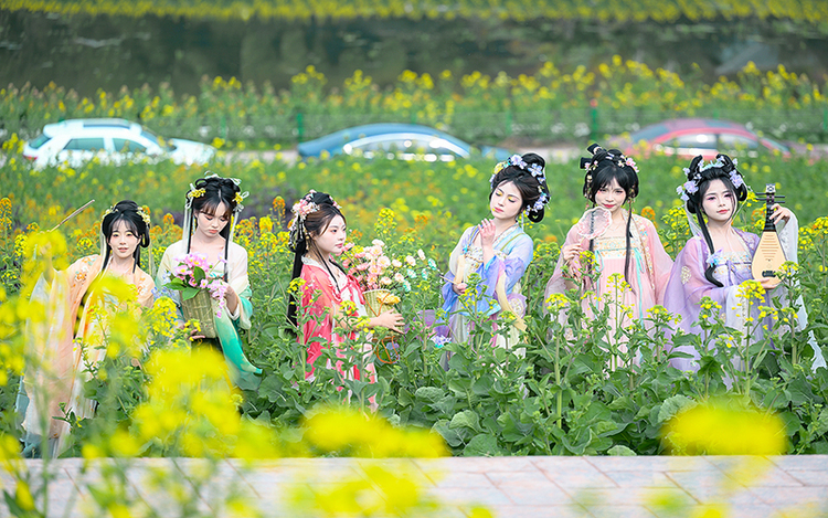 圖片默認標題_fororder_6蕓薹仙子著漢服在花海中漫步（攝影-廖志全）