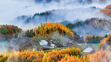 驚艷！神農架“紅坪畫廊”現雲霧美景