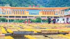 泉州四地與福廈串起“直達生活圈”