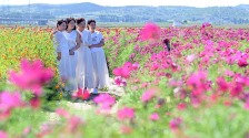 北票花海醉遊人