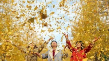秋日限定款，漫天飛舞的金色浪漫