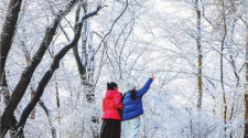 丹東首場雪後 錦江山也披上了“銀裝”