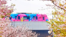 湖北武漢：地鐵串聯滿城春色