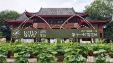 第十一屆沙湖公園荷花展將於6月13日啟幕