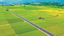 三明沙縣鄉村公路美如畫_fororder_三明沙縣鄉村公路美如畫