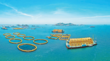 福州：做好海的文章 建設藍色糧倉_fororder_福州譜寫現代漁業發展新篇章