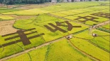 共慶農民豐收節 同建宜居宜業和美鄉村_fororder_1758635867032_51