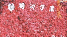 建築藝術廣場添新景