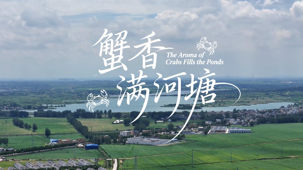 鮮味中國 四季農香 | 蟹香滿河塘_fororder_7abb23ab6efcdb5f4a20d03ee1a6db7_副本