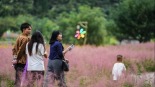 活動豐富多彩 樂享美好假期