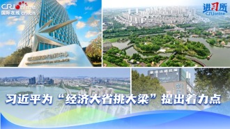 習近平為“經濟大省挑大梁”提出著力點_fororder_204fea79-6ce3-4874-9388-86d799ae3e1c