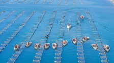 山東榮成：海參苗管護忙_fororder_d4b558c66cbc4428a08c17b1f1300835.1000x670.960x2147483647