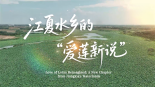 鮮味中國 四季農香 | 江夏水鄉的“愛蓮新説”_fororder_134