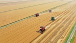 [視頻]【新思想引領新征程·非凡“十四五”】我國糧食供給保障能力持續增強_fororder_1758972649774_262
