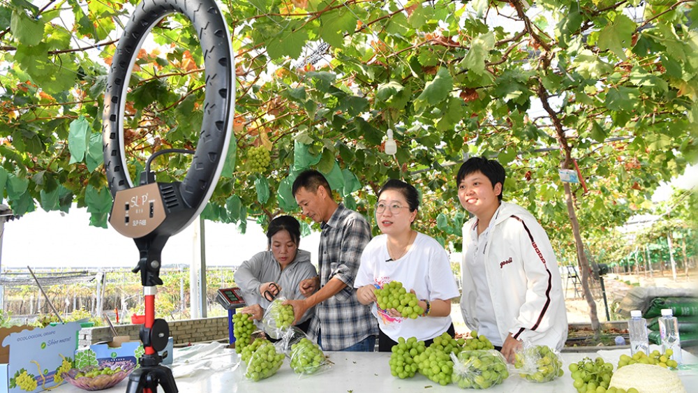 【新思想引領新征程·非凡“十四五”】發展鄉村特色産業 推進鄉村全面振興_fororder_1763293585625_759