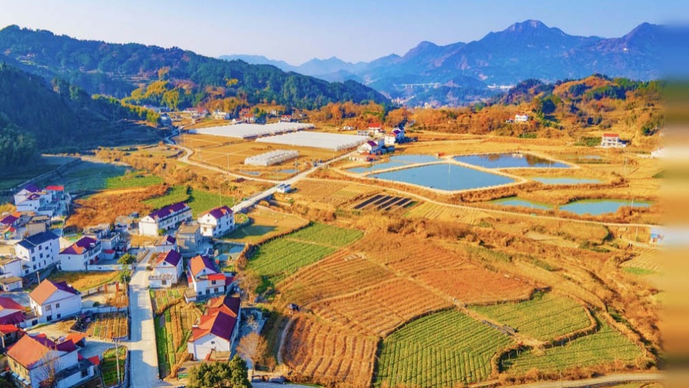 【新思想引領新征程】錨定農業農村現代化 紮實推進鄉村全面振興_fororder_1770290869812_847